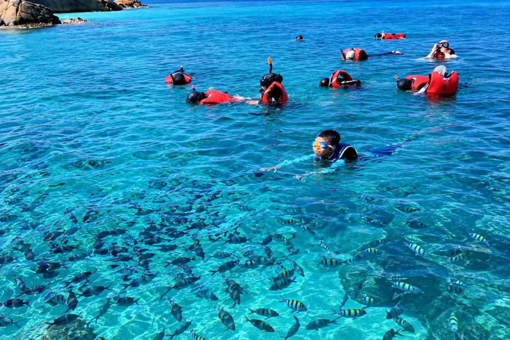 Daytrip Snorkeling Pulau Redang